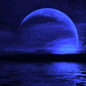 Meet your Posher, Steve